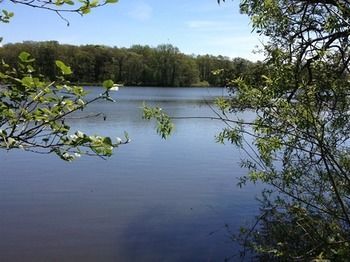 Cleveley Mere Luxury Waterside Lodges Scorton  Ngoại thất bức ảnh